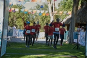 T3144426