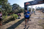 Y3154378