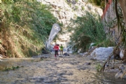 O3152816
