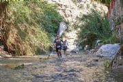 O3153999