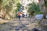 S3153574