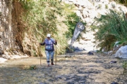 T3152922