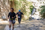 T3153363