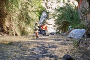T3153932