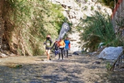 T3153935