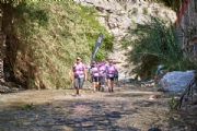 V3154004