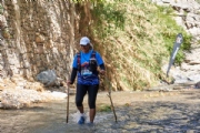W3153502