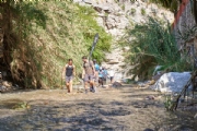 Y3152620