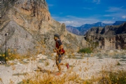 X3162271
