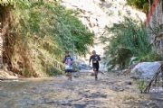 R3155885