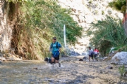 R3156089