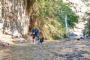 R3156443