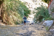 R3156539