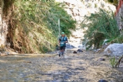 R3156645
