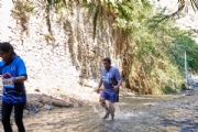 S3156382