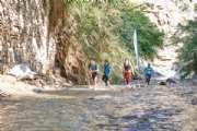 S3156724