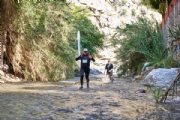 V3156344