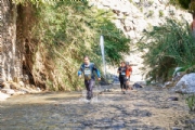 V3156466