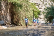 Y3156523