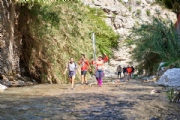 Y3156601