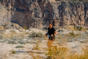 N3162511