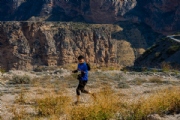 N3162558