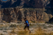 V3162557