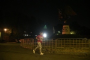 T3165416