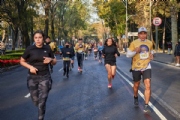O3170864