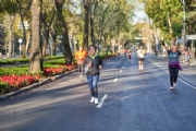 Y3170488