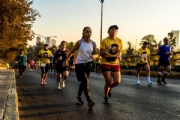 San Silvestre