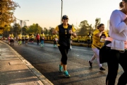 T3167265