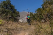 N3178460