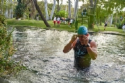 Q3186658