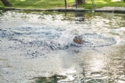 S3186205