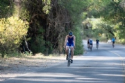 I3181519