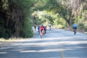 O3181686