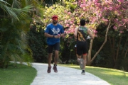 Q3184874