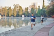 Y3179799