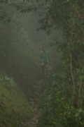 O3196960