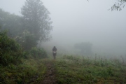 O3193278