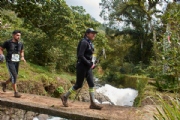 H3204366