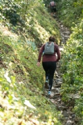 O3194268