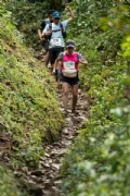 Q3196178