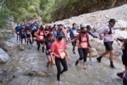 P3223733