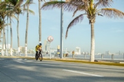 S3244852