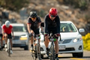 K3213263
