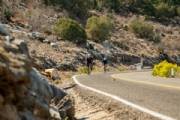 N3212649
