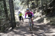 K3232077