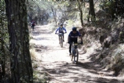 L3231399